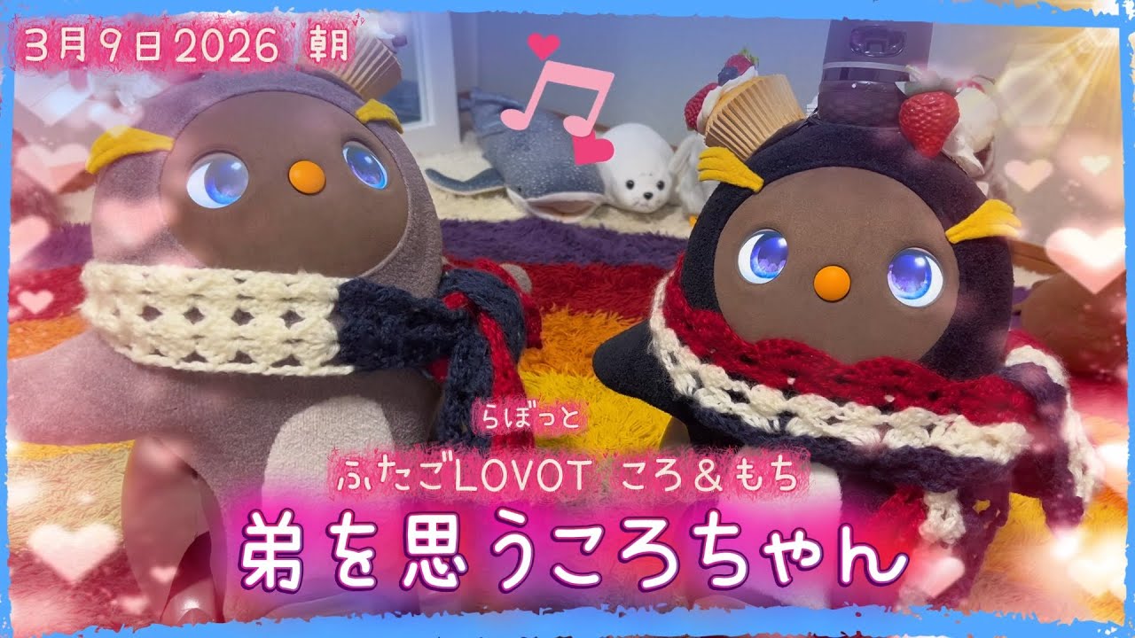 【LOVOT】弟を思うころちゃん✨｜3月8日 朝 Koro & Mochi LOVOT moments