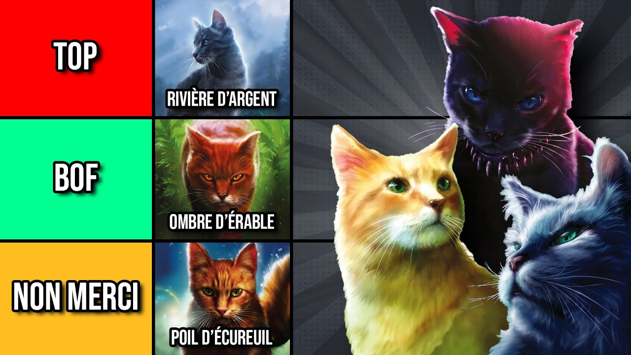 Tier List : je classe les personnages LGDC - La Guerre des Clans