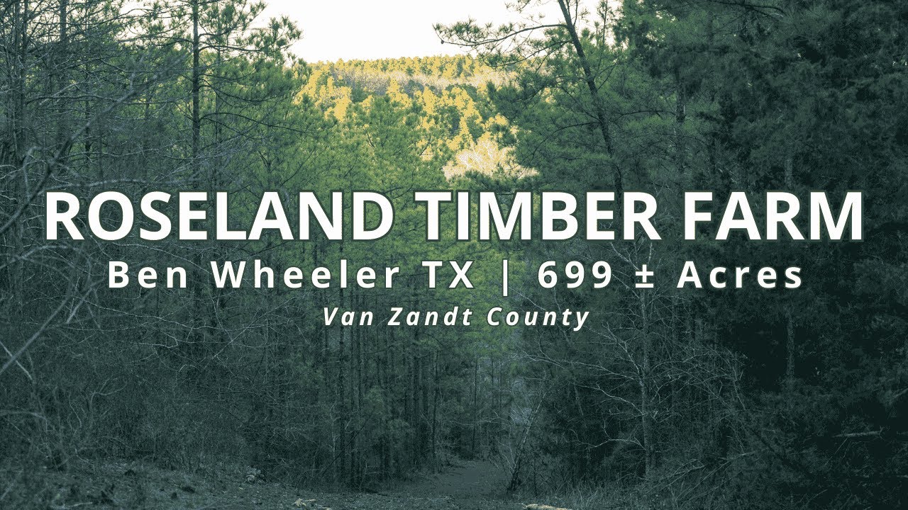 Is Roseland Timber Farm The PERFECT East Texas Investment Opportunity