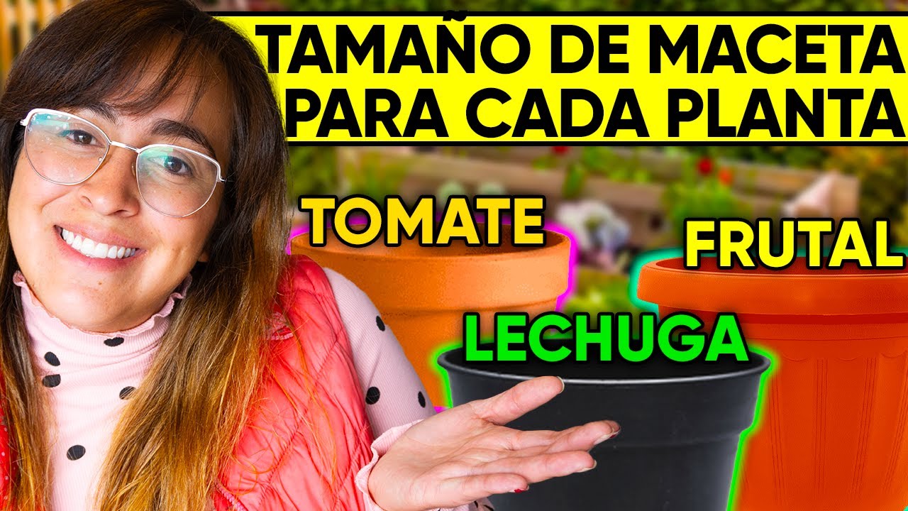 🪴 ¿Qué TAMAÑO de MACETA USAR para Cada Tipo de Planta? 🍎 Frutales, Hortalizas, Aromáticas ☀️