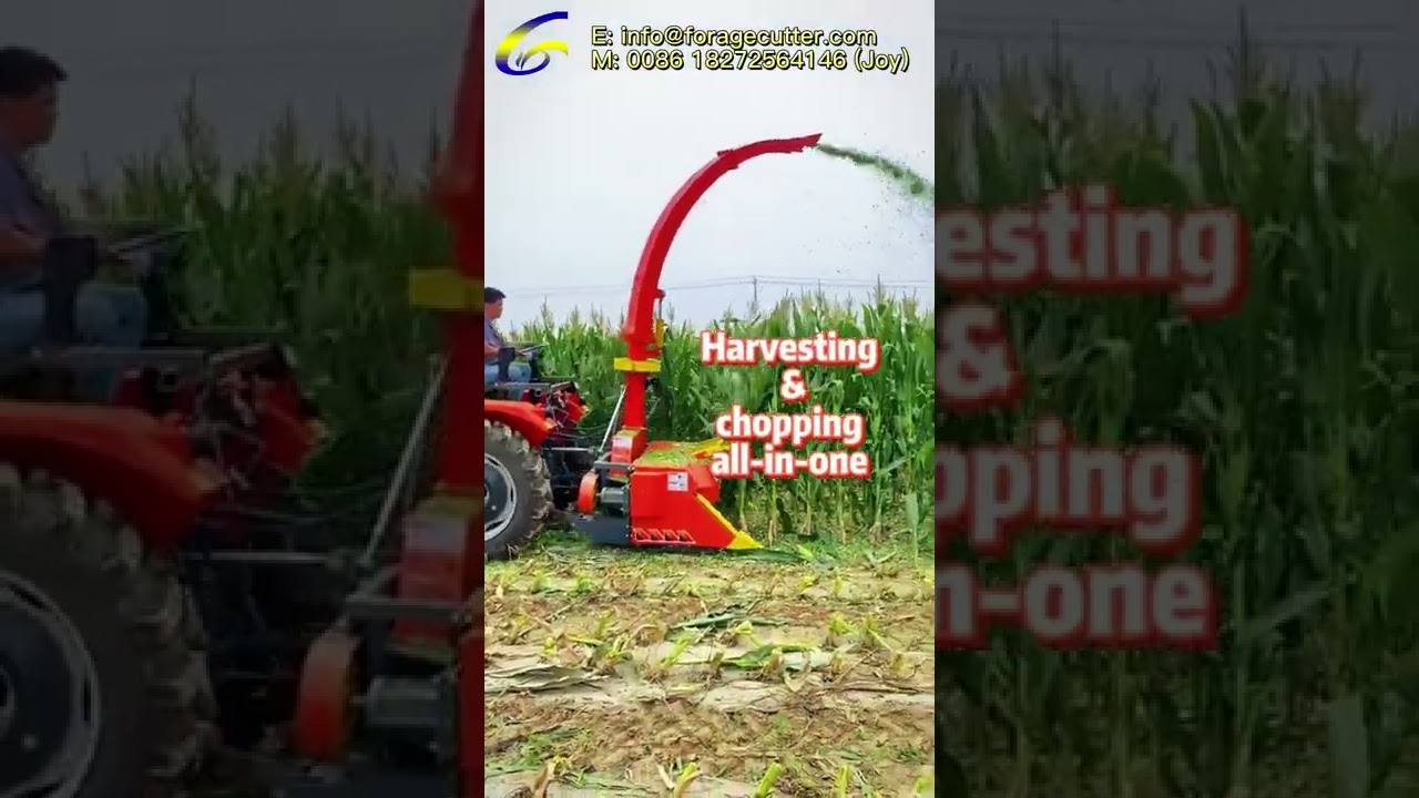 Most Popular Tractor-Mounted Silage Harvester Chopper