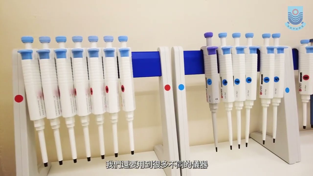 聖公會李炳中學 — 多用途室驗室介紹