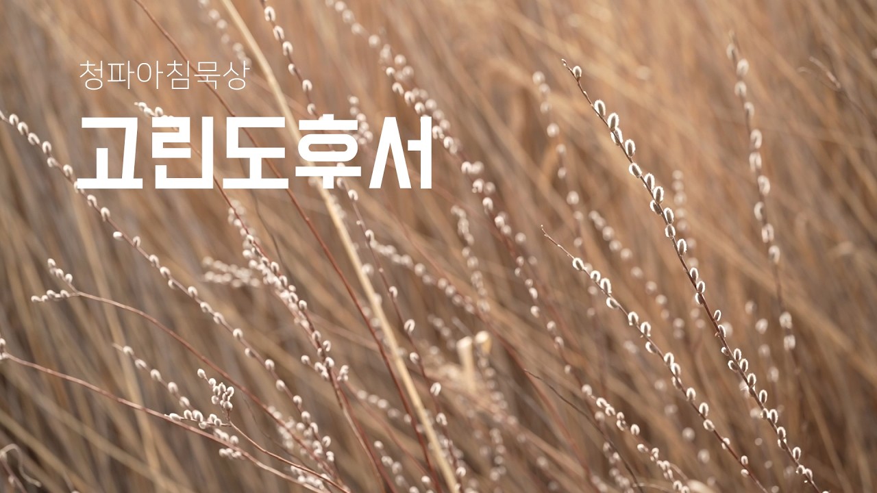 260205(목) 고린도후서 9:6-8