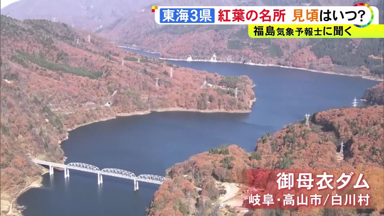 香嵐渓や恵那峡は見ごろに…空から見た東海3県の『紅葉の名所』御母衣ダムは山一面が橙色や黄色に染まる