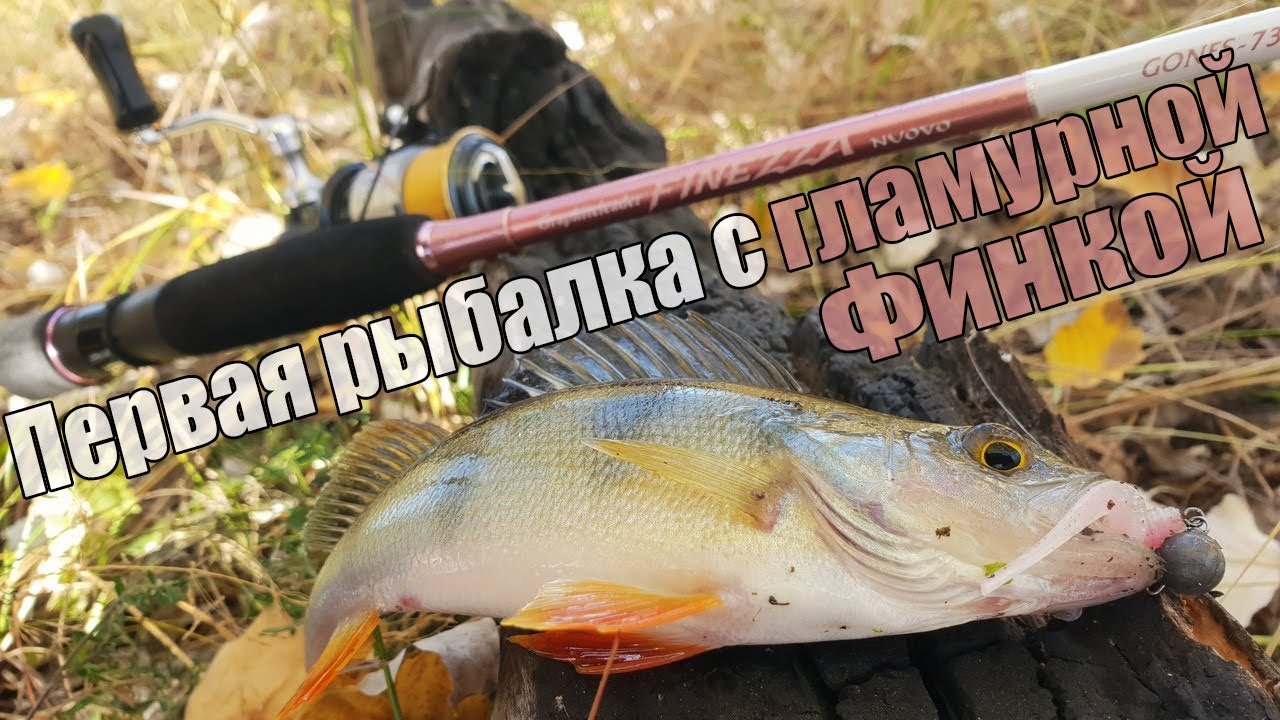Первая рыбалка с Graphiteleader Finezza Nuovo GONFS-732UL-T-TG