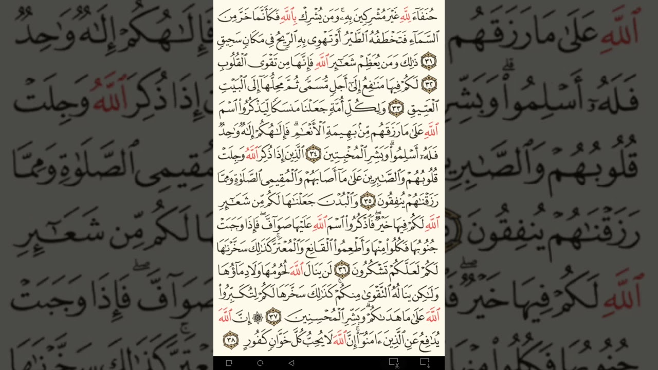 ماهر المعيقلي سورة الحج مكتوبة صفحة 336 مصحف المدينة المنورة جودة عالية