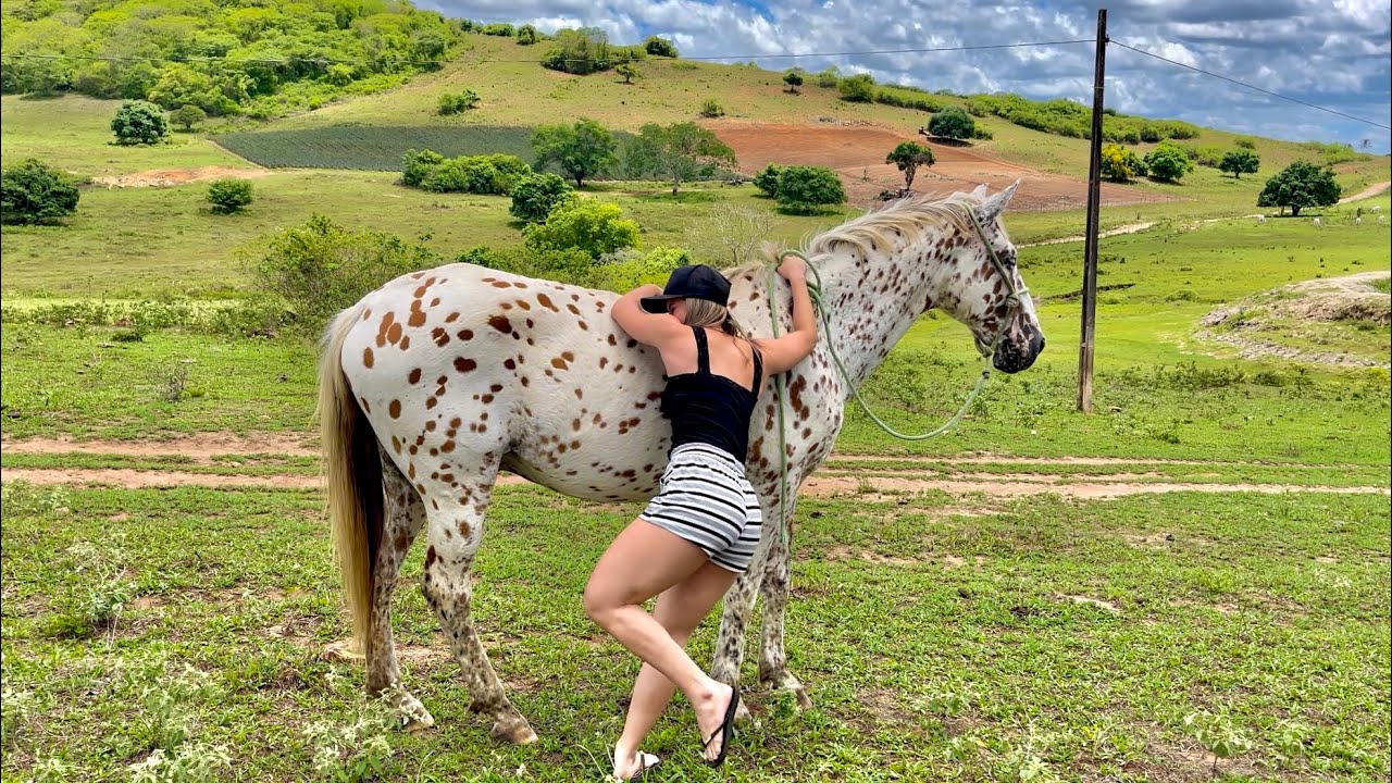 THAMIRES SE LASCA ANDANDO DE CAVALO SEM SELA 😱 | THAMIRES THUANNY