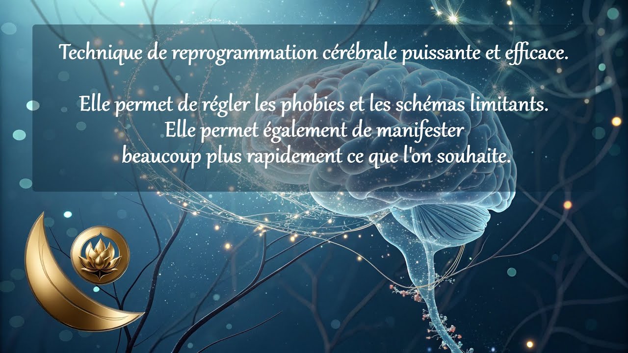 🧠Reprogrammation cérébrale puissante et efficace – Manifeste rapidement – Arrête tes phobies🧠
