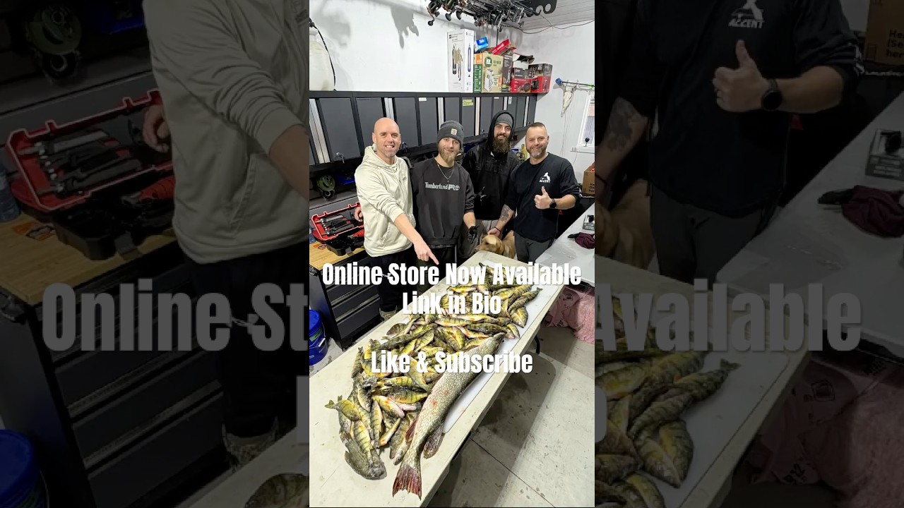 LAKE SIMCOE JUMBO PERCH ICE FISHING 2026 