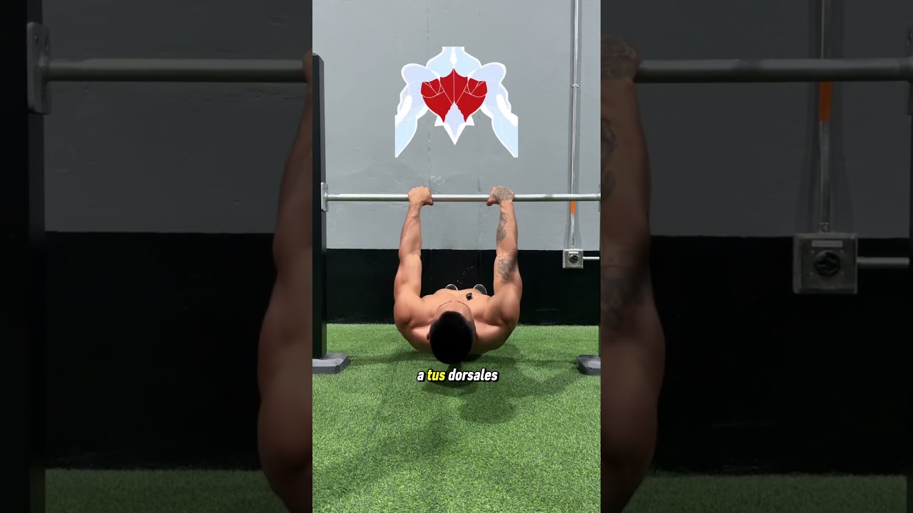 Como hacer las Dominadas Australianas✅ #calistenia #pullups #calisthenics #streetworkout #fitness