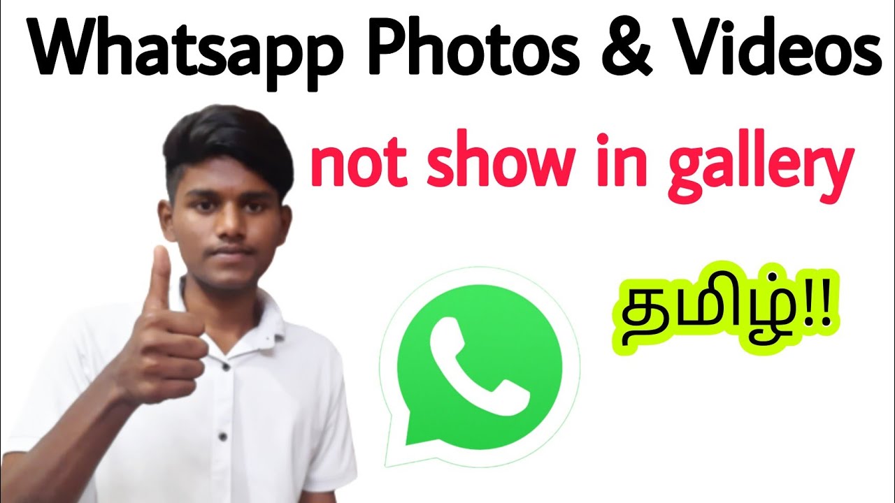 whatsapp images and videos not showing in gallery in tamil / whatsapp photos not save in gallery