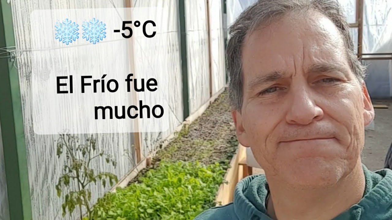 El frío sobrepasa al Invernadero