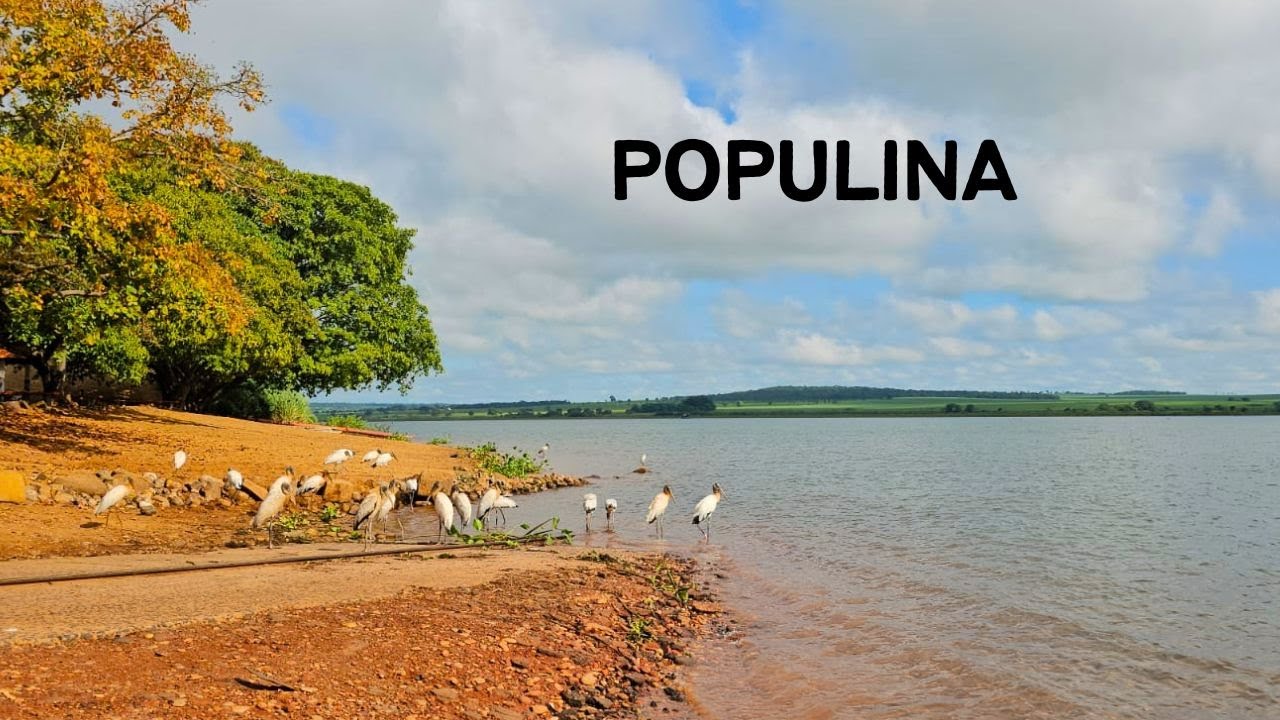 Populina SP - Passeio da Rota 408 pela cidade de Populina - 11° Temp - Ep 36