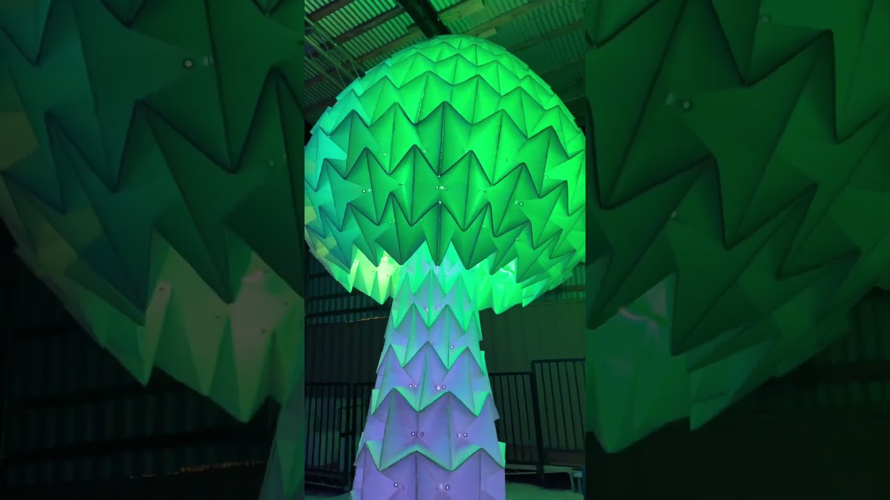 Unique date night in Las Vegas! TRANSFIX