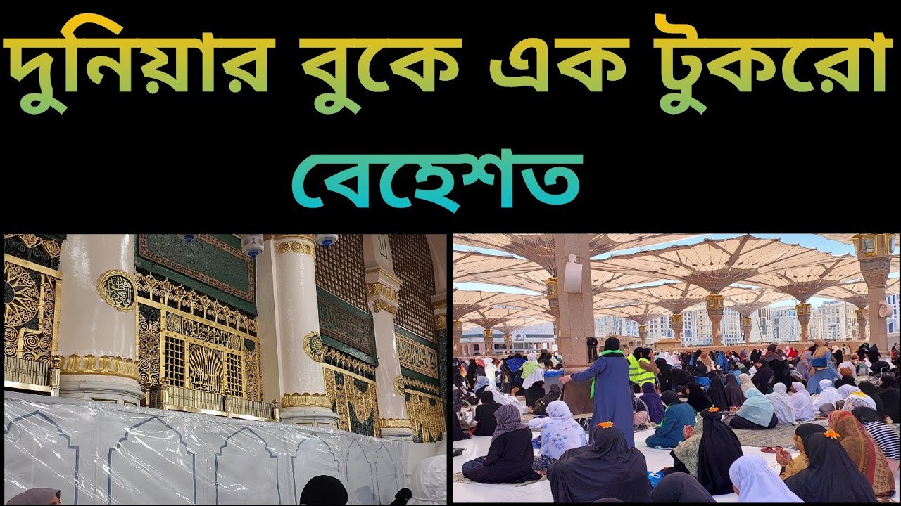 রিয়াদুল জান্নাতে প্রবেশের নিয়ম!!  Riadhul Jannah Roza -e-Rasool