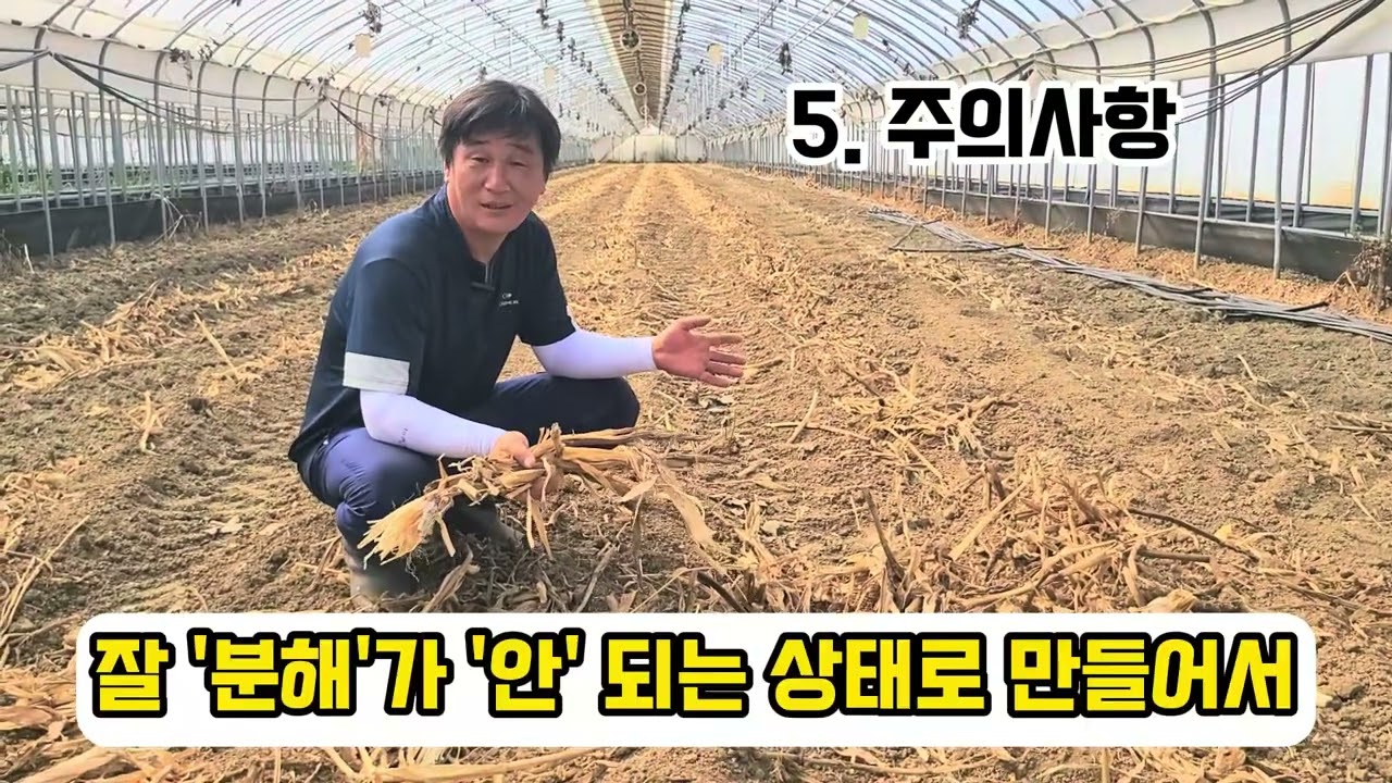 친환경 토마토 밭 만들기 #토마토 #유기농 #한살림 #유기물 #친환경토마토