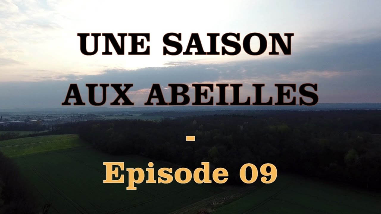 UNE SAISON AUX ABEILLES - E09 - 