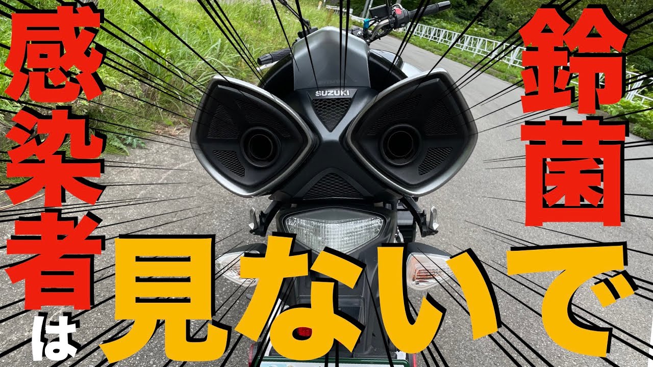 【納車動画】鈴菌の変態バイクと言えばこのバイク！キングオブ変態バイクB-KINGをザビ平さんがレッドバロンより購入