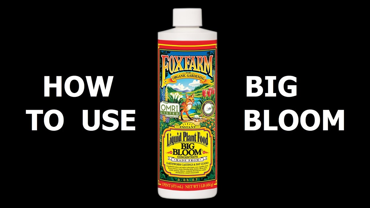How to Use Big Bloom Liquid Fertilizer By Foxfarm