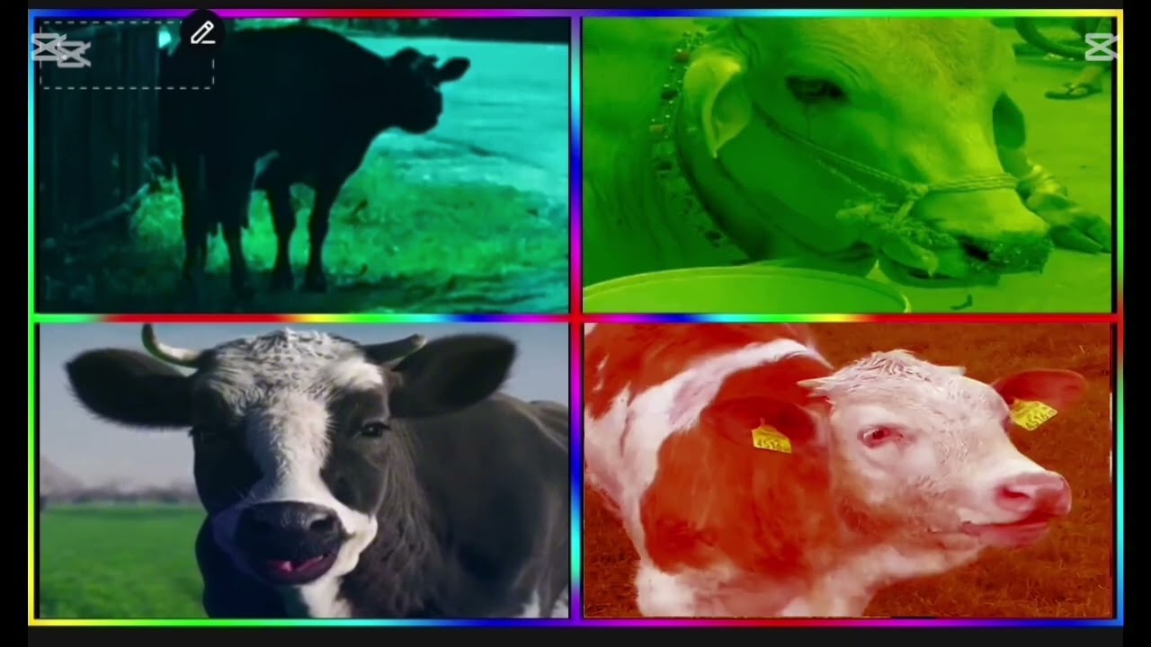 Funny Cows VS Funny Buffalo VS Funny Buls VS Tiles Hop EDM Rush