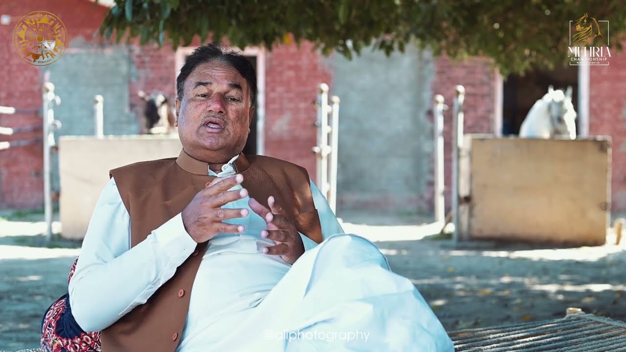 Arfan Malwana | Mehria Championship Attock | Stud Farm visit Documentry | Ali World