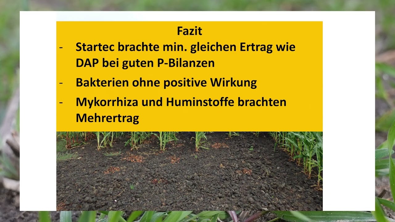 Mikromais - Was brachten Mikroorganismen und Mikrogranulate im Feldversuch?