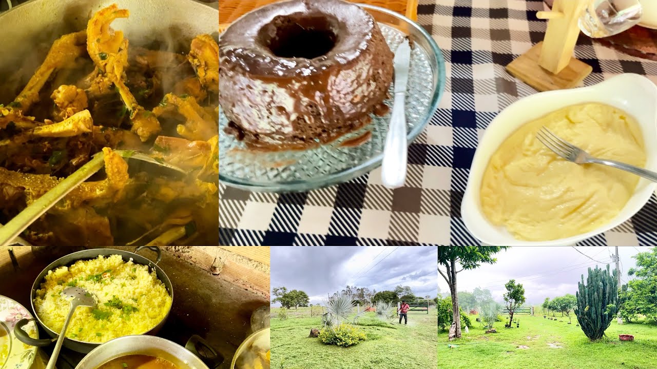 Plantei 🌷/ roçamos a grama / fez cafe ☕️ /fez um almoço  com frango caipira  pra minha família 🗣️❤️