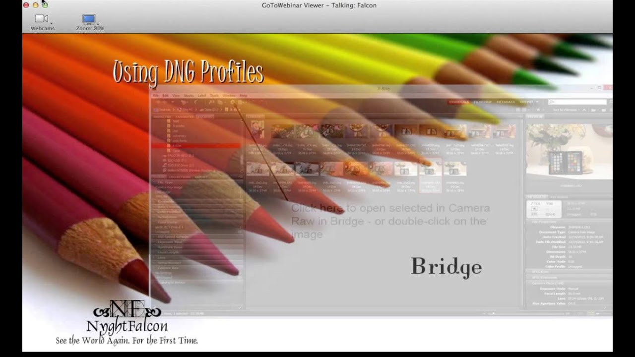 Falcon Camera Profiles