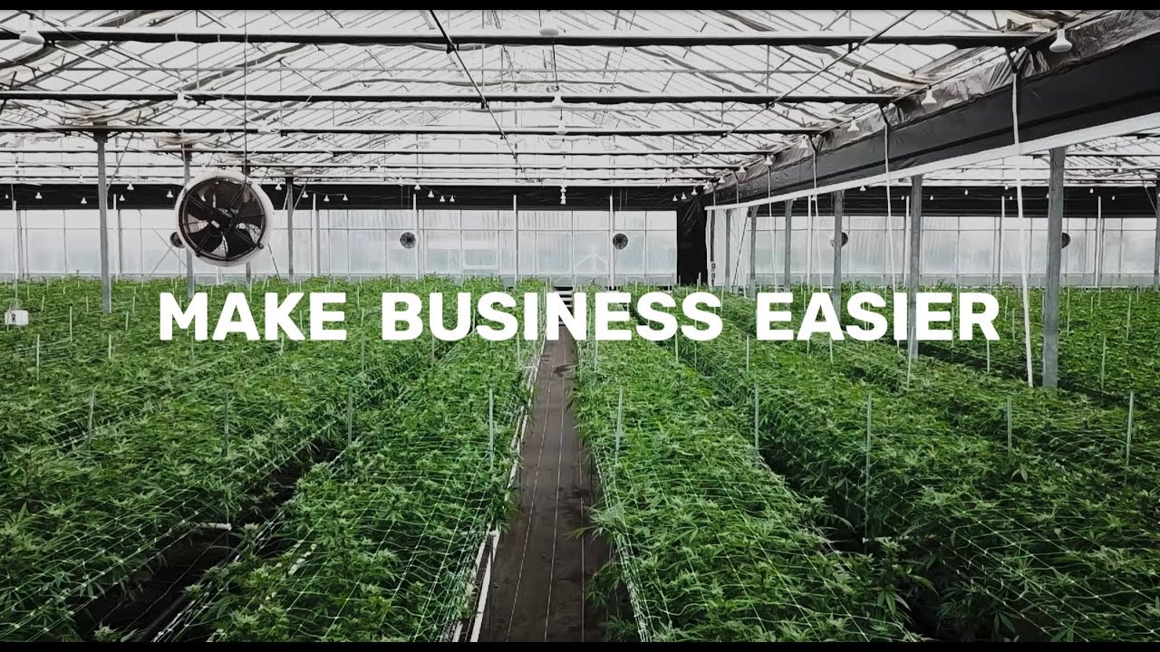 Cannalysis - Californias Premier Cannabis Testing Lab