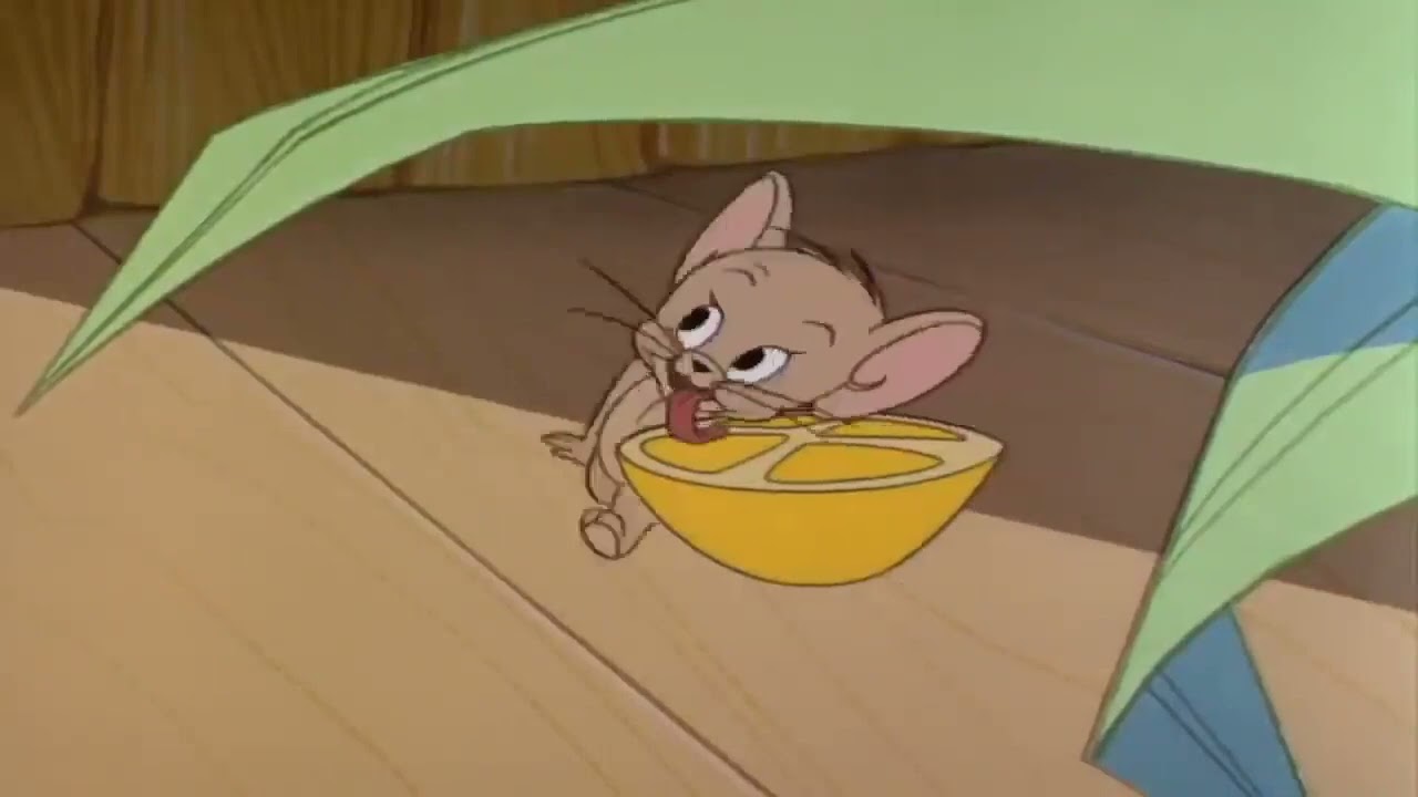 تام و جری قسمت اول