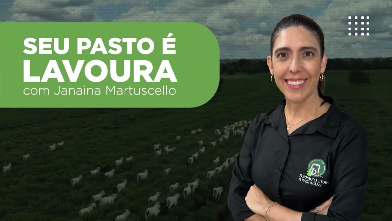 CAPIM IDEAL: ACERTE EM CHEIO A ESCOLHA COM BASE NA FERTILIDADE DE SOLO DA FAZENDA