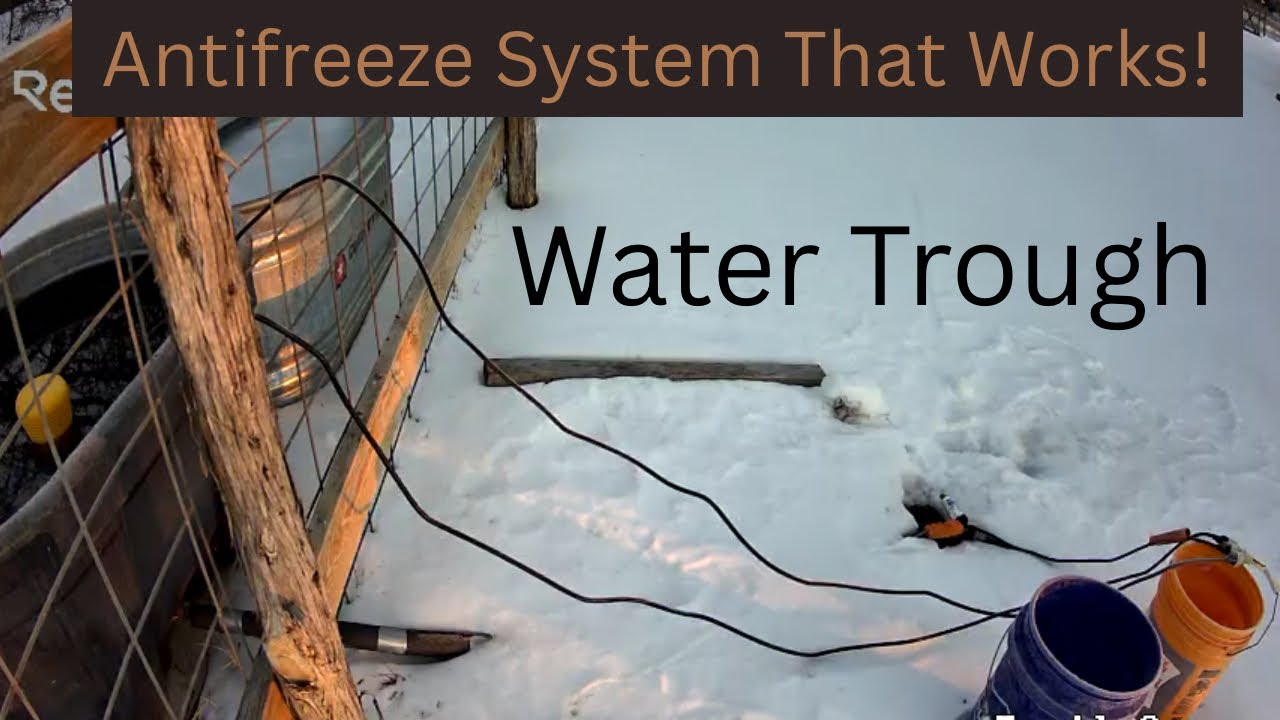 Finally!! I figured out a water system that works. 