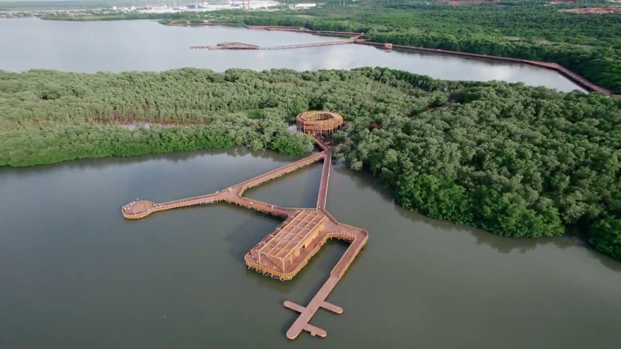 Ciénaga de Mallorquín: cómo es el nuevo ecoparque