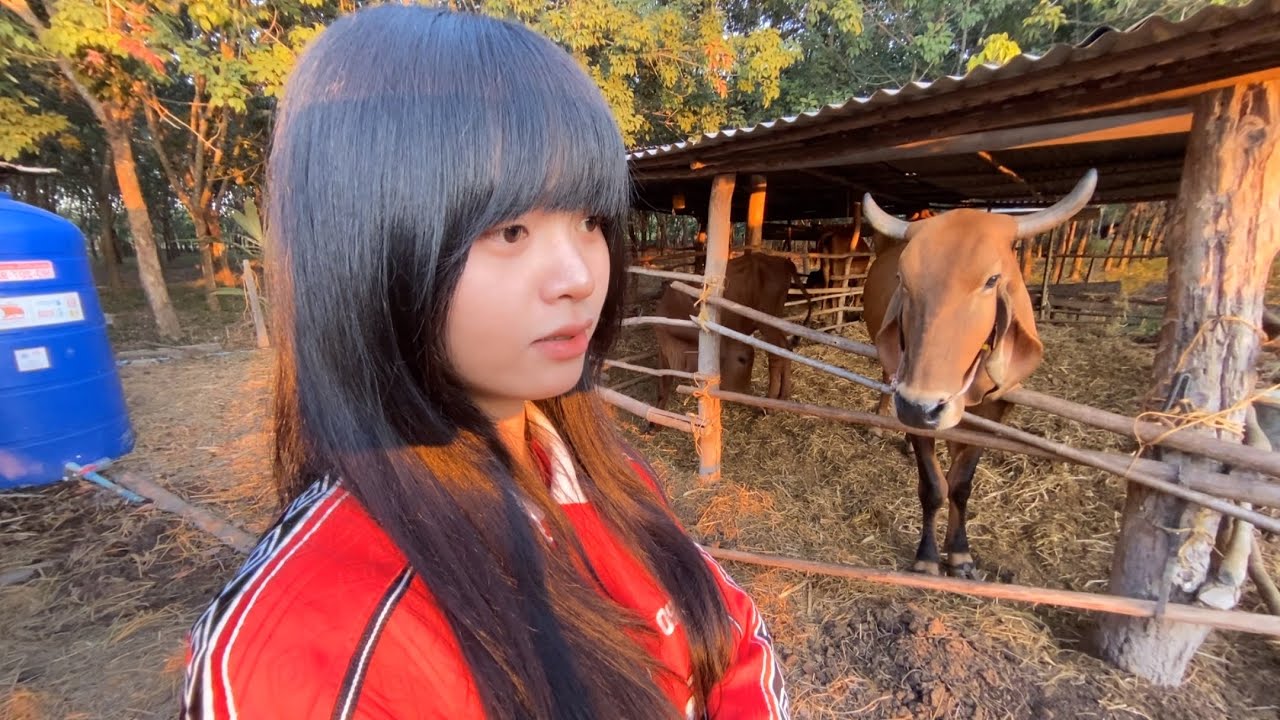 🐮