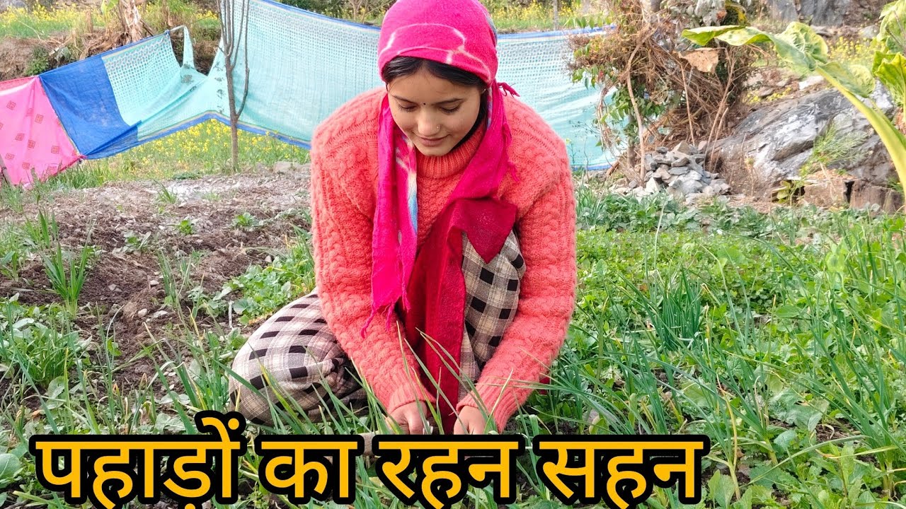 पहाड़ों का रहन सहन गांव का काम यहां के लोग🥰|| pahadi lifestyle vlog|| Lucky rawat vlogs||