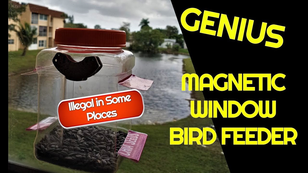 Diy Magnetic Window Bird Feeder from recycled material