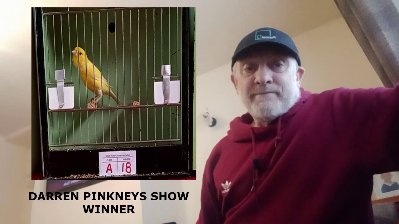 ROLLER CANARY JUDGING BRCA
