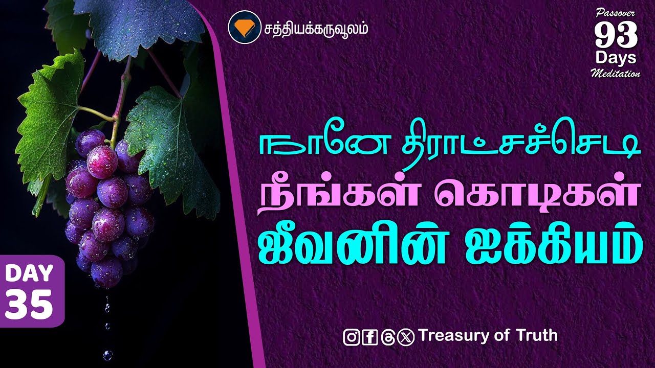 35.நானே திராட்சச்செடி நீங்கள் கொடிகள்-ஜீவனின் ஐக்கியம்| I Am the Vine, You Are the Branches | Day 35