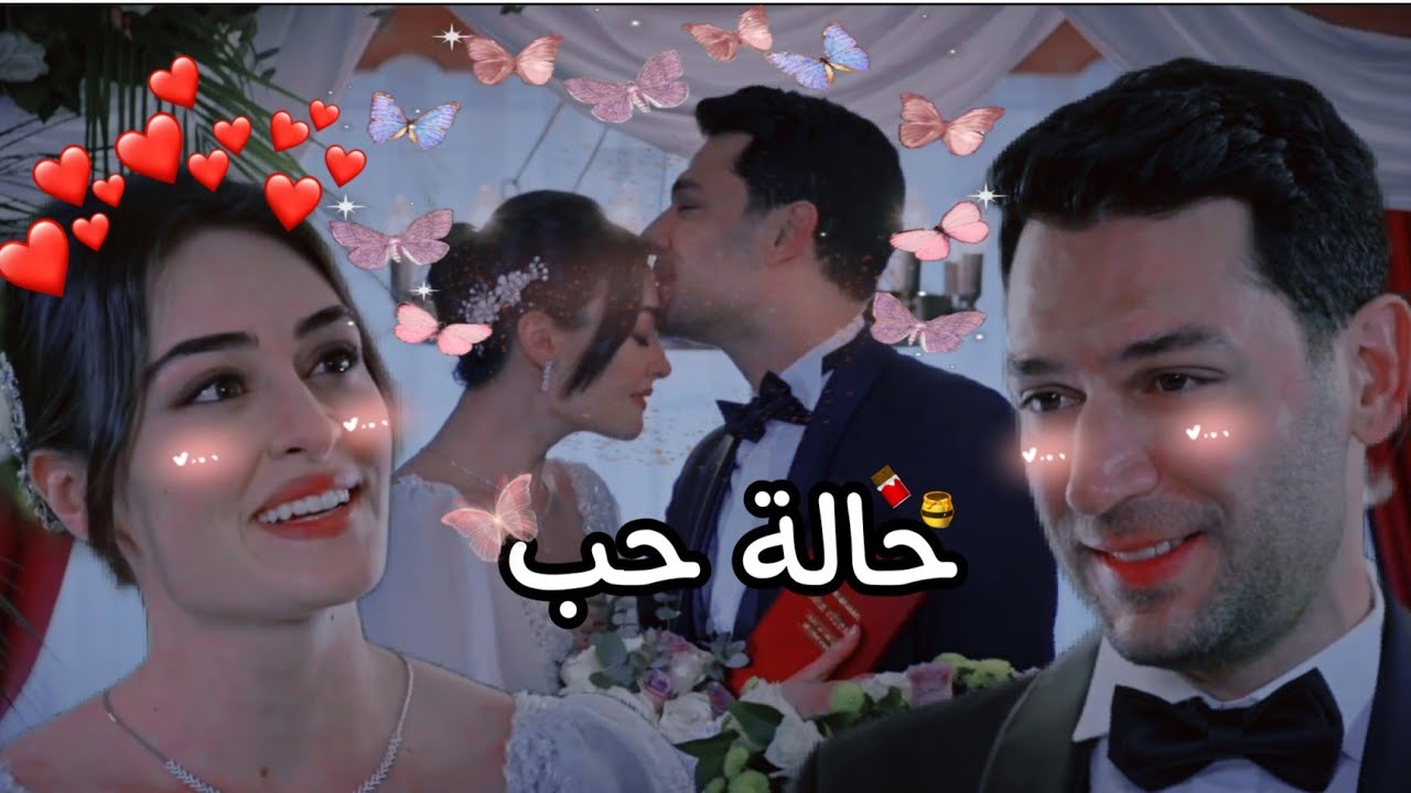 ||حالة حب ||أليسا || رامو & وسيبال || ramo & sybel 🍁