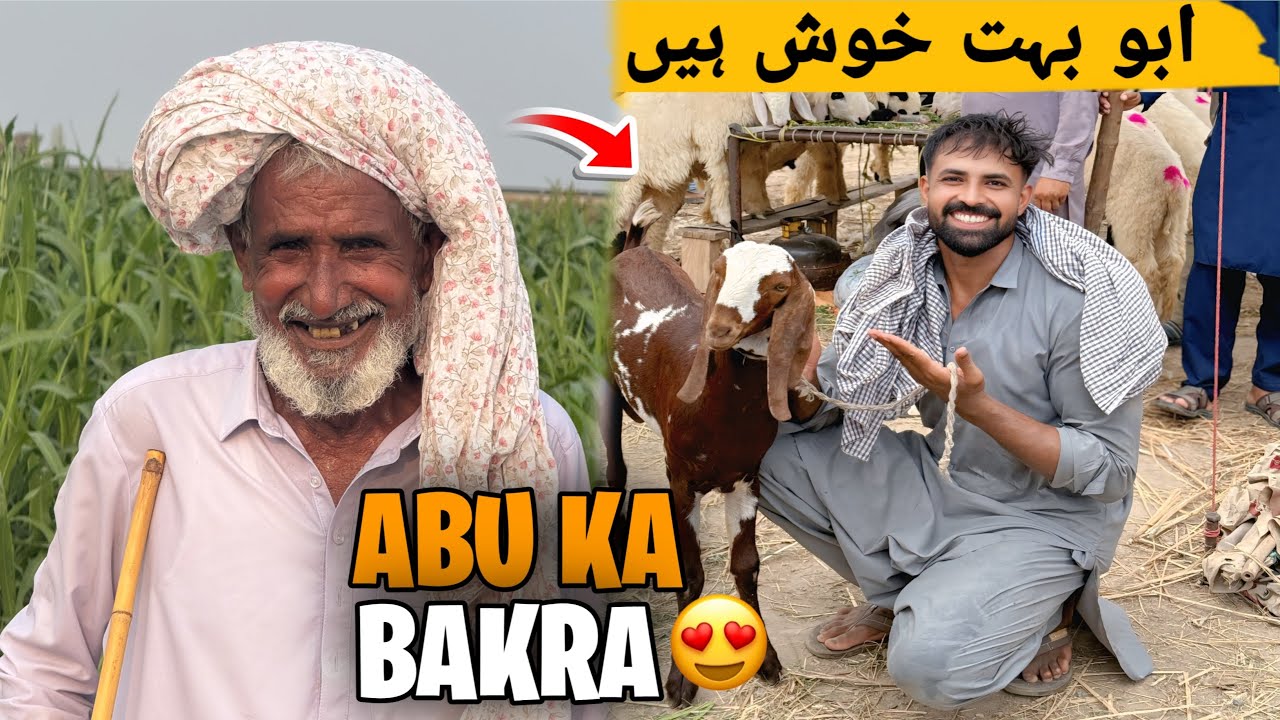 Abu Jan Ka Bakra Ly Liya 😍 | آج ابو کے لیے بکرا لے لیا ابو بہت خوش ہیں