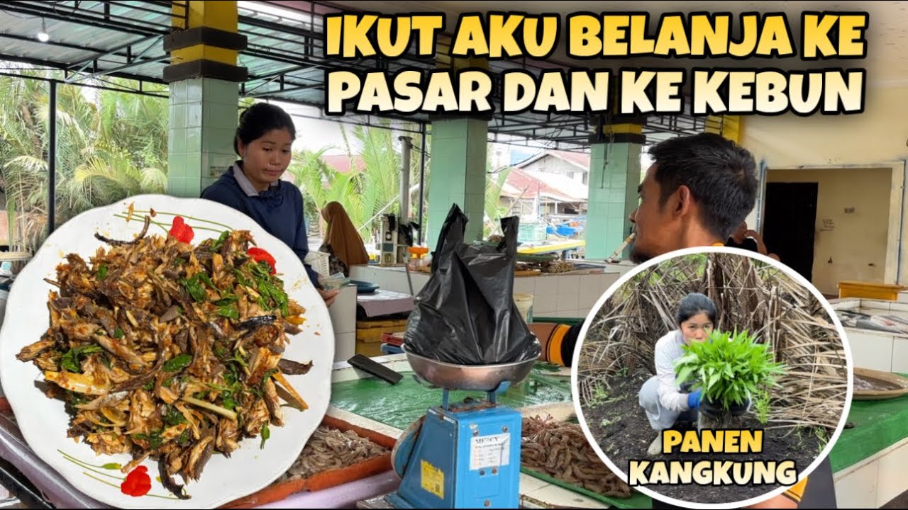 IKUT AKU BELANJA KE PASAR BUAT MASAK DAN KE KEBUN PANEN KANGKUNG