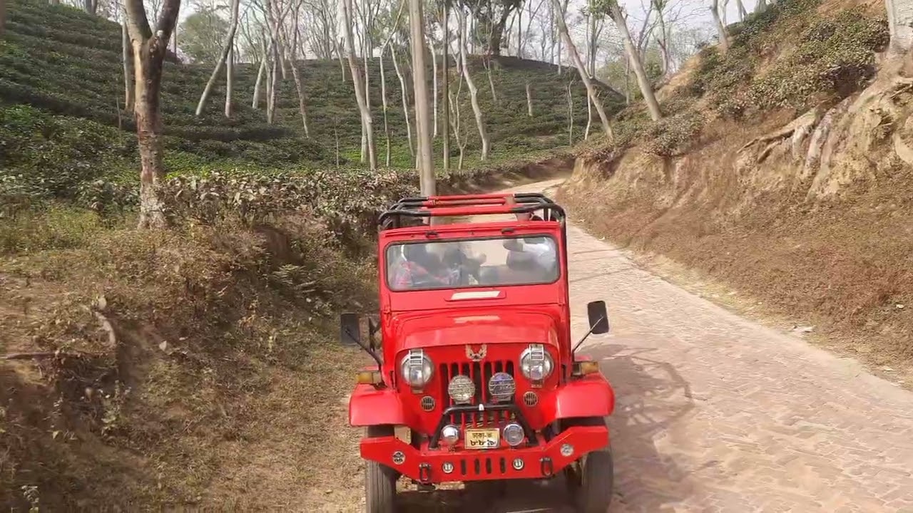 #চাবাগান 