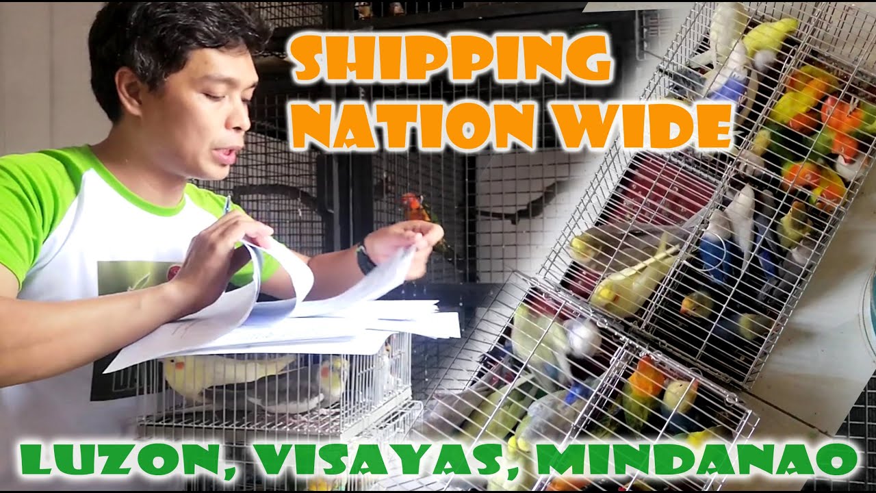 NATION WIDE SHIPPING NG IBON PWEDE NA | QUARTERLY BREEDING REPORT | LOCAL TRANSPORT PERMIT