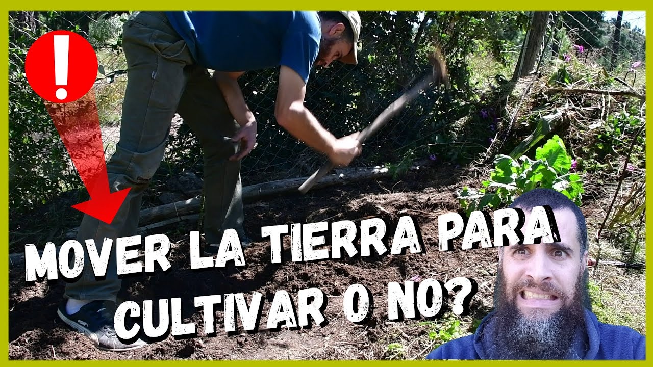 Es necesario remover el suelo en la huerta? | HUERTA sin Laboreo? | Labranza cero? 🌿