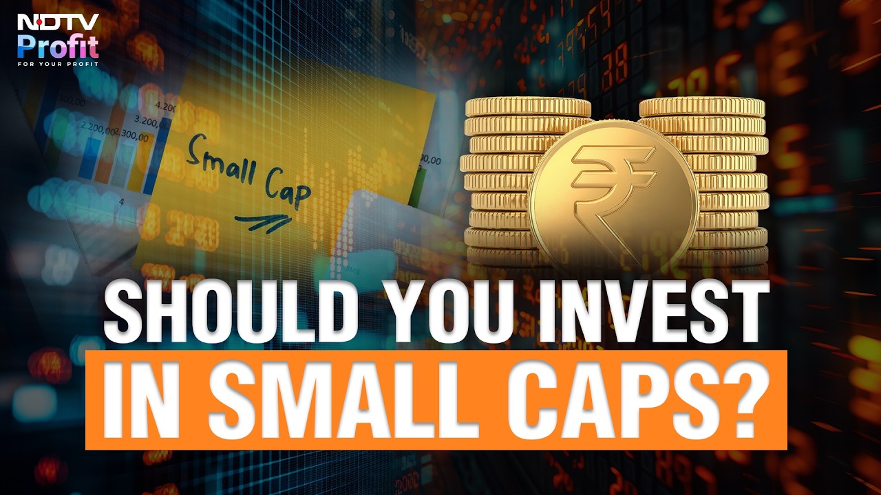 Small Caps: Why Are They Important Despite Being Volatile?