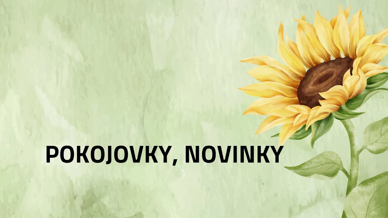 42 Pokojovky,  které třeba potřebujete:)