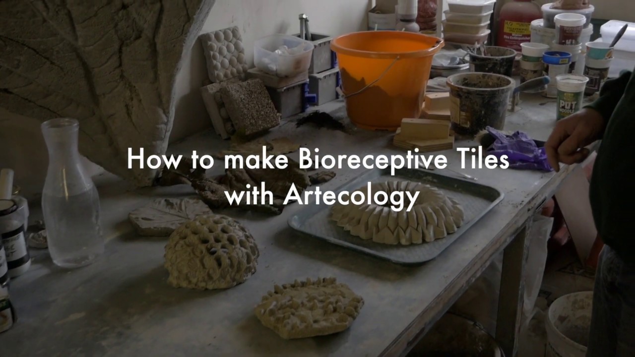 How to make Bioreceptive Tiles