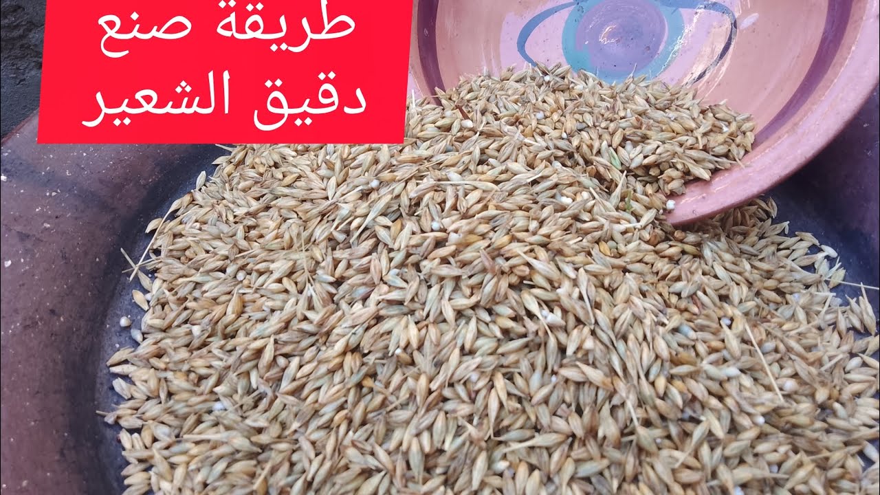 دقيق الشعير بطريقتنا التقليدية #دقيق الشعير #المطبخ الجزائري #وصفات تقليدية #طبخ زمان #وصفات صحية 