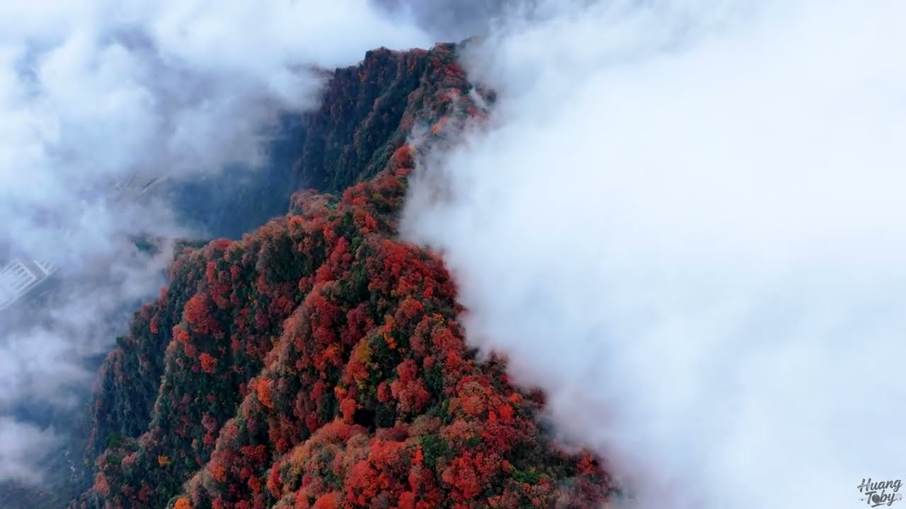 2025秦嶺覓秋-4K