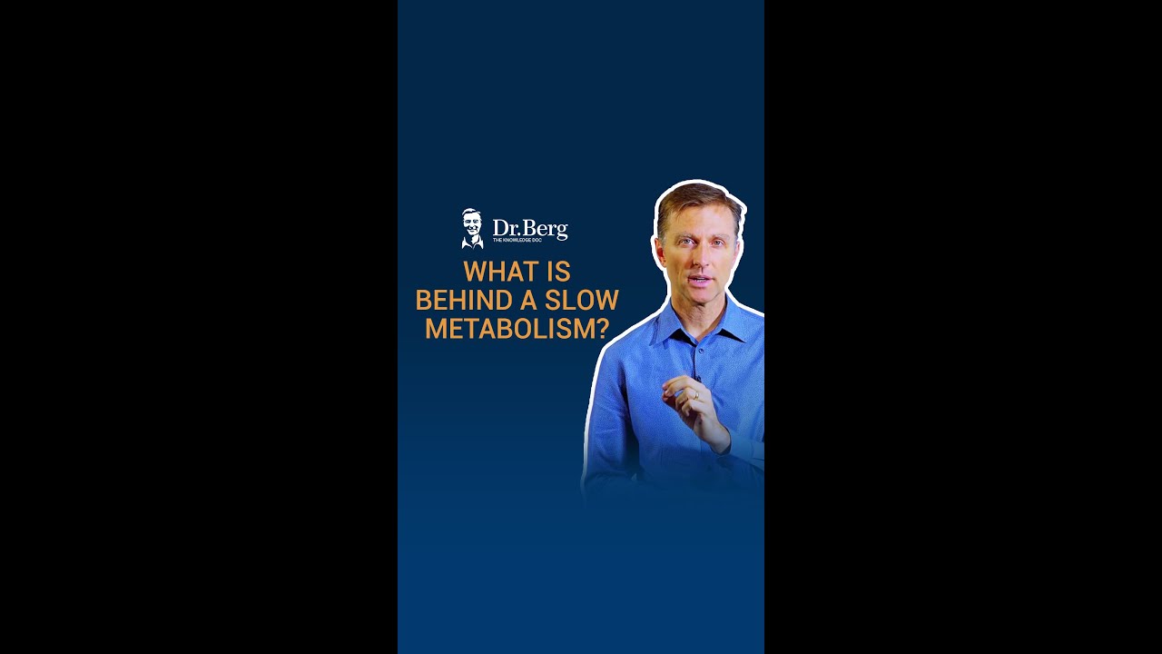 What is Behind a Slow Metabolism?
